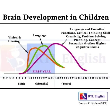 Brain Development in Children